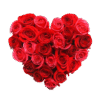 istockphoto 874103164 612x612 removebg preview